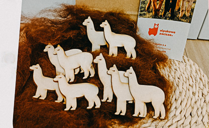 Wizyty alpak w Waszej placówce 08